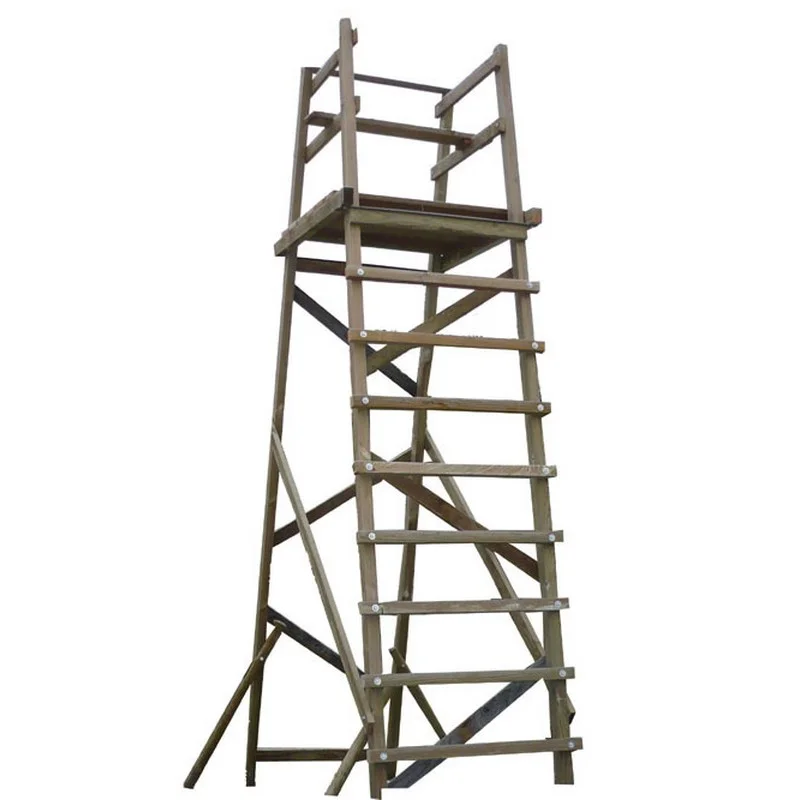 Image article 19