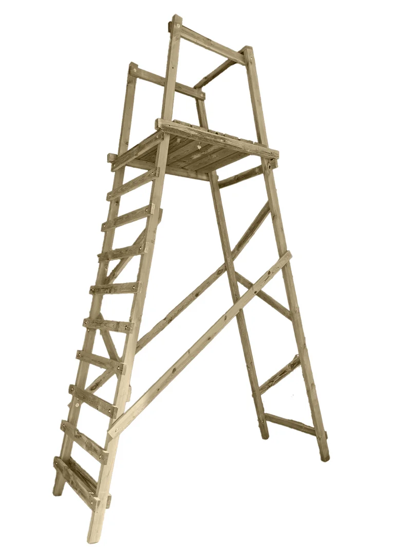 Image article 19